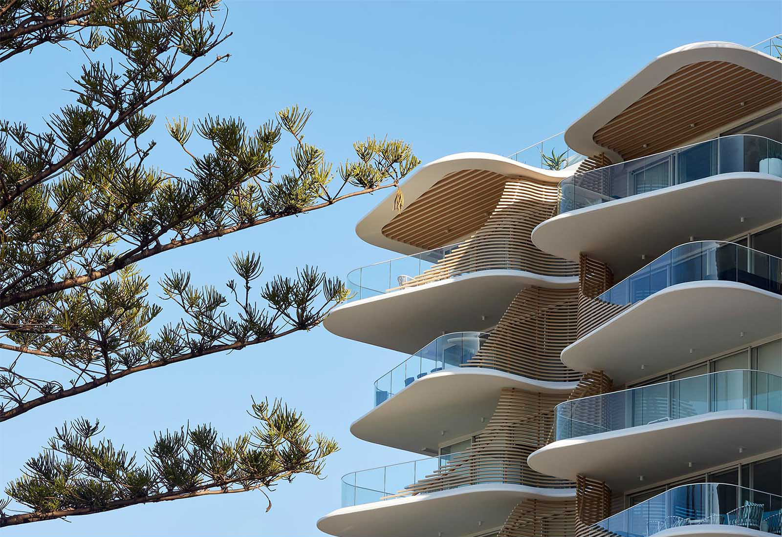 This Sculptural Building Design Was Inspired By Pine Trees